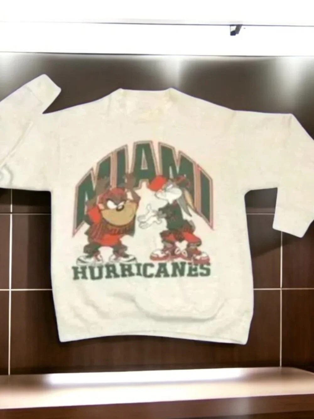 Vintage NCAA Miami Hurricanes Looney Tunes Shirt, University of Miami Shirt